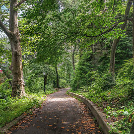 Morningside Park, Harlem, Nyc by Laura Zeid