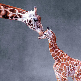 Mothers Love On Textured Background by Steve Wilson