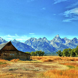 Moulton Barn And The Tetons by Ronnie Wiggin
