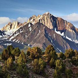 Mount Morrison by Tom Grubbe