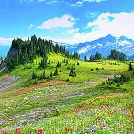 Mount Rainier Summer Colors by Feng Wei Photography