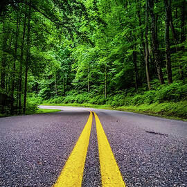 Mountain Highway by Joe Leone