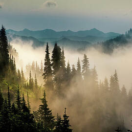Mountain Mist by Bill Hinton Photography