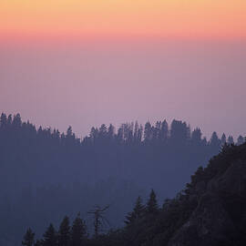 Mountains With Trees by Heeb Photos