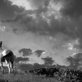 Mountaintop Companionship. by Paul Martin