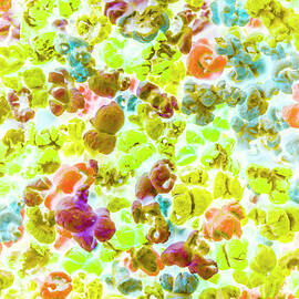 Movie munchies by Jorgo Photography