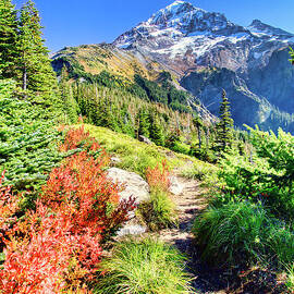 Mt. Hood in Autumn by Bruce Block