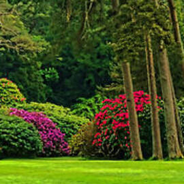 Muckross House Garden Impression by Olivier Le Queinec
