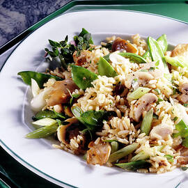 Mushroom Risotto With Spring Onions On Plate by Jalag / Uwe Bender