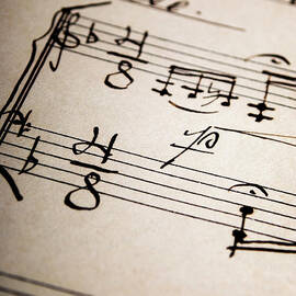 	Music Sheet by Jelena Jovanovic