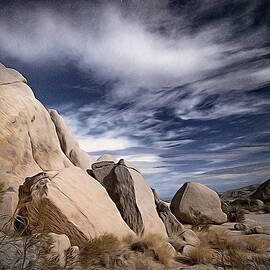 Mystic Joshua Tree Morning by Joe Schofield