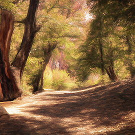 Nature Getaway by Alison Frank