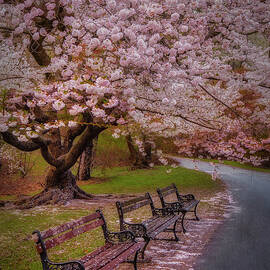 Natures After Party Confetti by Susan Candelario