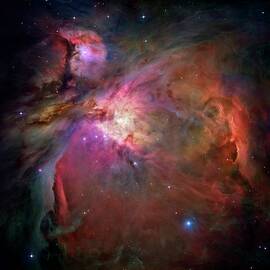 Nebula Orion by Design Pics