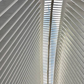 New York City, Lower Manhattan, Inside Oculus At Westfield World Trade Center, Architectural Ribs by Lumiere