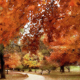 Autumn's Awning by Jessica Jenney