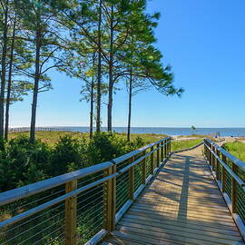 No Man's Land, Hilton Head, Sc by Werner Bertsch