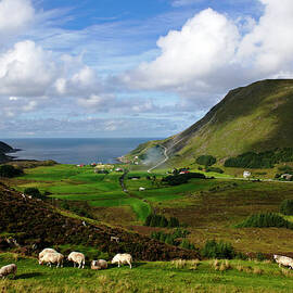 Norwegian Coastline In Fjordland by Andrea Pistolesi