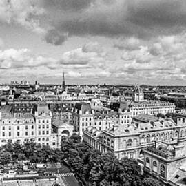 Notre Dame Gargoyle & City Of Paris by Antonino Bartuccio