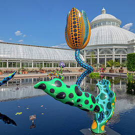 Nyc, Bronx, New York Botanical Garden, Kusama Exhibit Cosmic Nature Hymn Of Life Tulips by Claudia Uripos