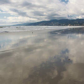 Off Season Beach Day by Denise Taylor