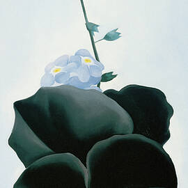 O'keefe-pansy by Portfolio Arts Group