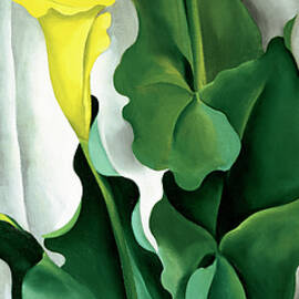 O'keefe-yellow Calla by Portfolio Arts Group
