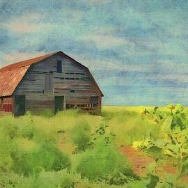 Old Barn Amongst the Weeds by Jeffrey Kolker
