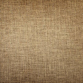 Old Canvas Fabric by Ithinksky