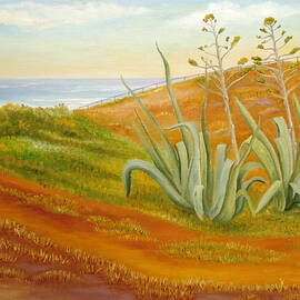 Once In A Lifetime by Angeles M Pomata