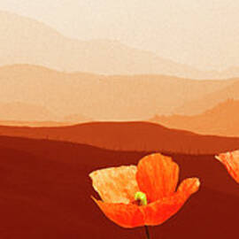 Orange Poppies Tuscany Italy by Maarten Wouters