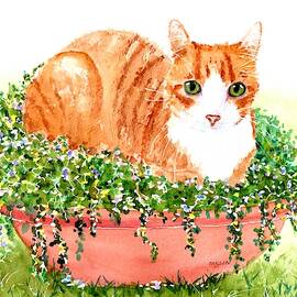 Orange Tabby Cat in Flower Pot by Carlin Blahnik CarlinArtWatercolor