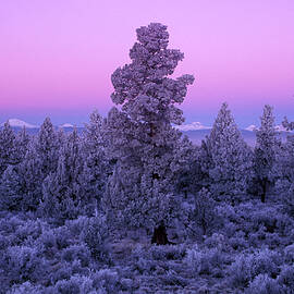 Oregon High Desert Near Bend by Heeb Photos