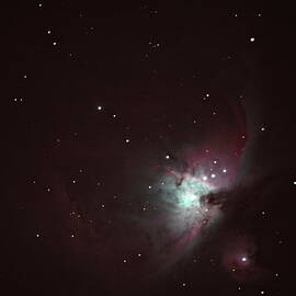 Orion Nebula by Pat Gaines