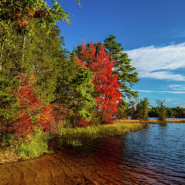 Oswego Lake Pinelands by Louis Dallara