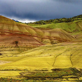 Painted Hills Vista by Jean Noren