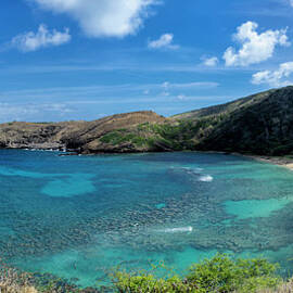 Panorama Of Hanauma Bay, Oahu by Alvis Upitis