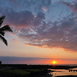 Panorama Sunset With Palms, Keauhou by Alvis Upitis