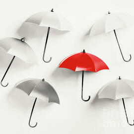 Parasol pop by Jorgo Photography