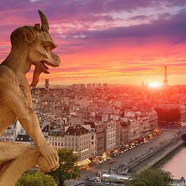 Paris, View Of Notre Dame De Paris by Sylvain Sonnet