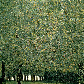 Park, 1910. Artist Gustav Klimt by Print Collector