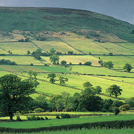 Patchwork Landscape by Michael Busselle