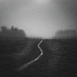 Path In Mist by Doug Chinnery