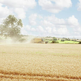 Paths Carved In Crop Field by Robin James