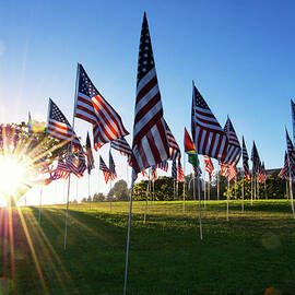 Patriotic Sunset by Denise Taylor