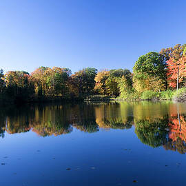 Peaceful Autumn Lake In Illinois by Stevegeer