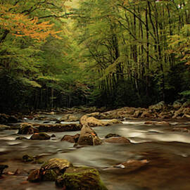 Peacefulness by Jacalyn Ackerman