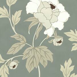Peony Elegance Ii by Nancy Slocum