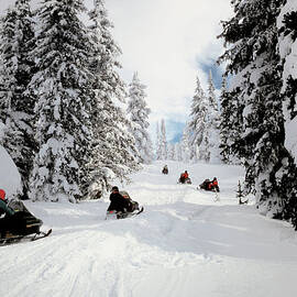 People On Snowmobiles In Yellowstone by Medioimages photodisc
