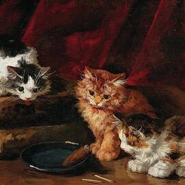 Perplexed Kittens by Arthur-alfred Brunel De Neuville